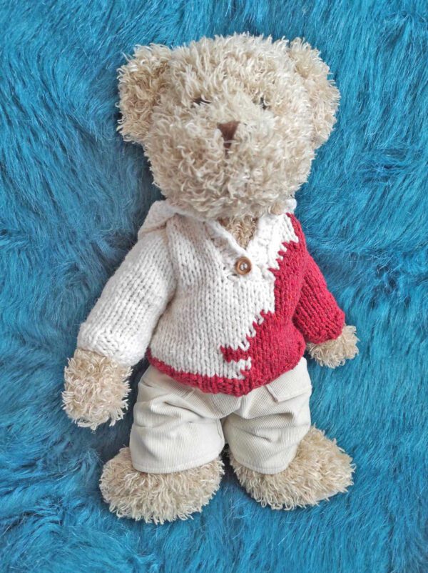 Pull à capuche ours en peluche